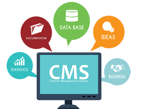 CMS Website Development